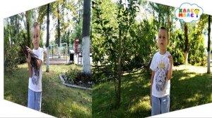 Три поросенка