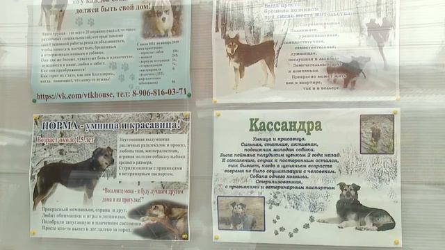 Выставка в музее смотреть онлайн