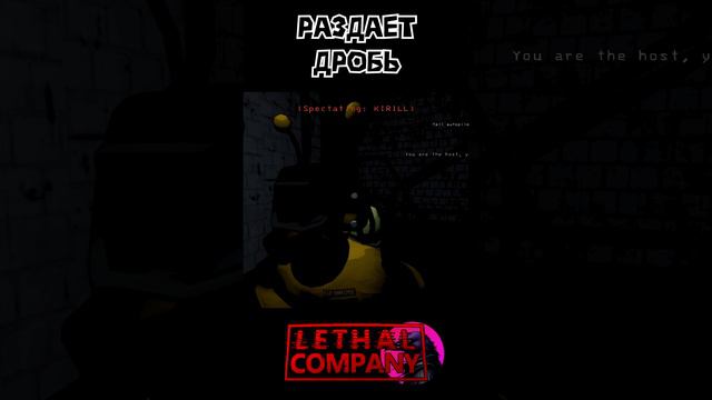 Раздает дробь Lethal Company Shorts