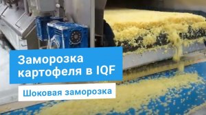 Картофель нарезанный кубиком, заморозка в туннеле IQF