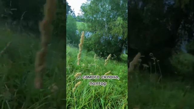 Геодезия и определение истинных границ участка – «Инвесторские щи 🥘» смотреть онлайн