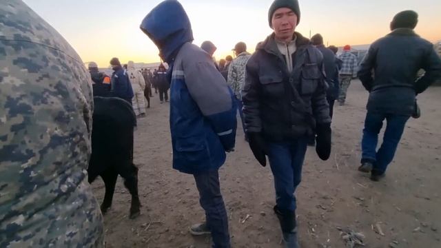 18-ДЕКАБРЬ 2022/ХОЖЕЛИ МАЛ БАЗАРЫ/СКОТНЫЙ РЫНОК/BUQALAR/BIG BULLS IN THE WORLD/BIG COW/РЕКОРД БЫК