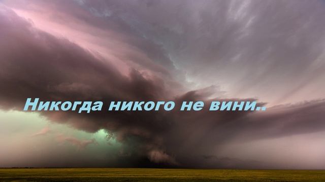 Не вини