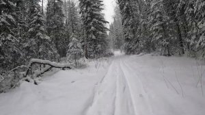 День126. Практически восстановился. Дистанция 8 километров.