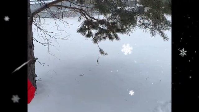 Снежный город