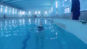 Бассейн в Витебске. ФОК. Попытка плавать