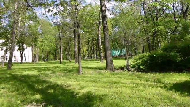 ВЛОГ Красное село | Прогулка | Стрижка | Котики смотреть онлайн