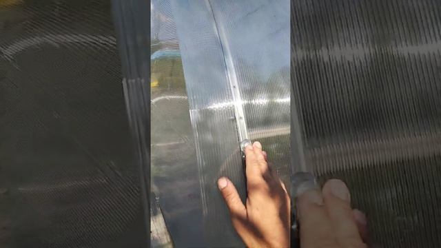 теплица слава сп смотреть онлайн