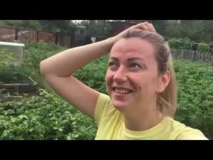 Яблоком по голове!/Тушим капусту и болтаем/Как мы шкаф собирали :)