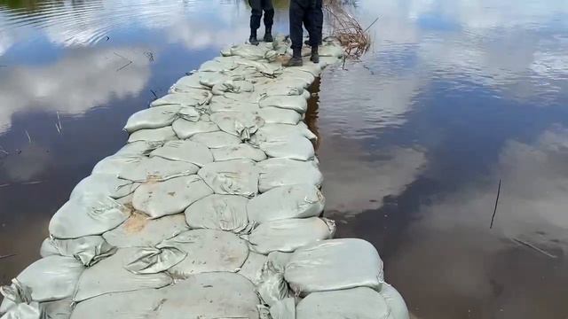 Белогорск Томь прибывает 04 06 2022 смотреть онлайн