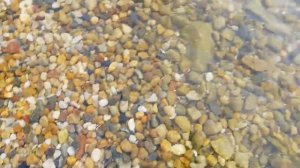 Озеро Ялпуг!