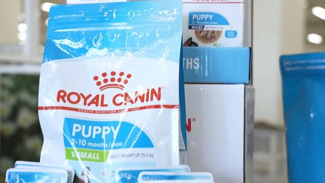 Nourish Your Playful Pup's Growth with Royal Canin Puppy Food | Petworld смотреть онлайн