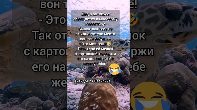 Анекдот от Василича Подпишись, дальше будет очень смешно #анекдот #анекдотдня #анекдотизжизни