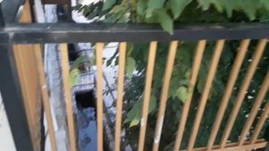 Пансионат"Багрипш". Абхазия,сентябрь,2022. Виды,окрестности,природа.