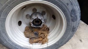 Замена волговского редуктора на ГАЗель бизнес