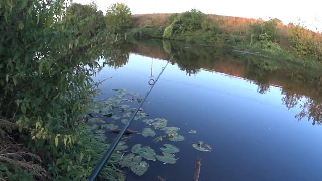 Мультипликаторная катушка ,рыбалка на реке Пахра ))) теория и практика ))) смотреть онлайн