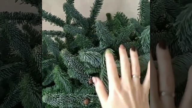 ✨ Подготовка к Новому году начинается ✨ #нобилис #красота #фудфлористика #вкусныебукеты #подарки