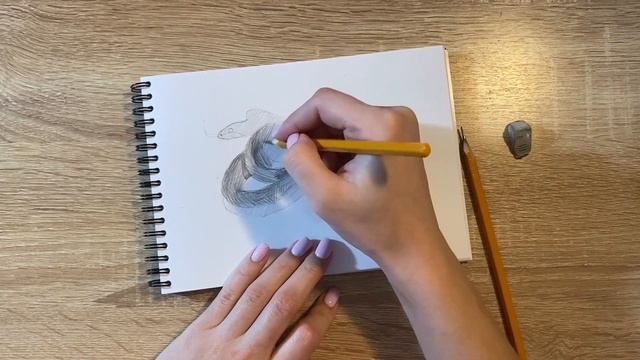 Как нарисовать ужа карандашом | Рисунок для начинающих поэтапно смотреть онлайн