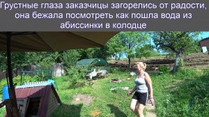Яхрома абиссинка в колодце выдала хороший поток но с запахом нефтянки