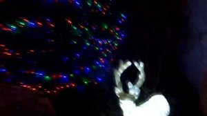 новогоднее украшение дома | новогоднее украшение дома снаружи