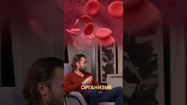 Нехватка глюкозы тянет к ходильнику, в который ты ленивый ничего не положил) НЕЙРО ИНТУИЦИЯ