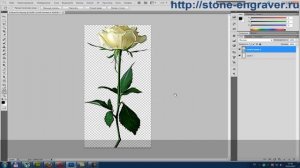 Видео урок: «Как создать картинку для гравировки».