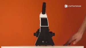 Обзор микроскопа Микромед С-11 монокуляр 40-1280х | Ситилинк