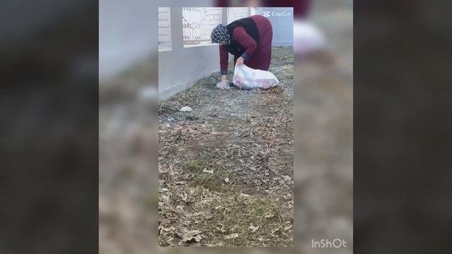 Субботник.