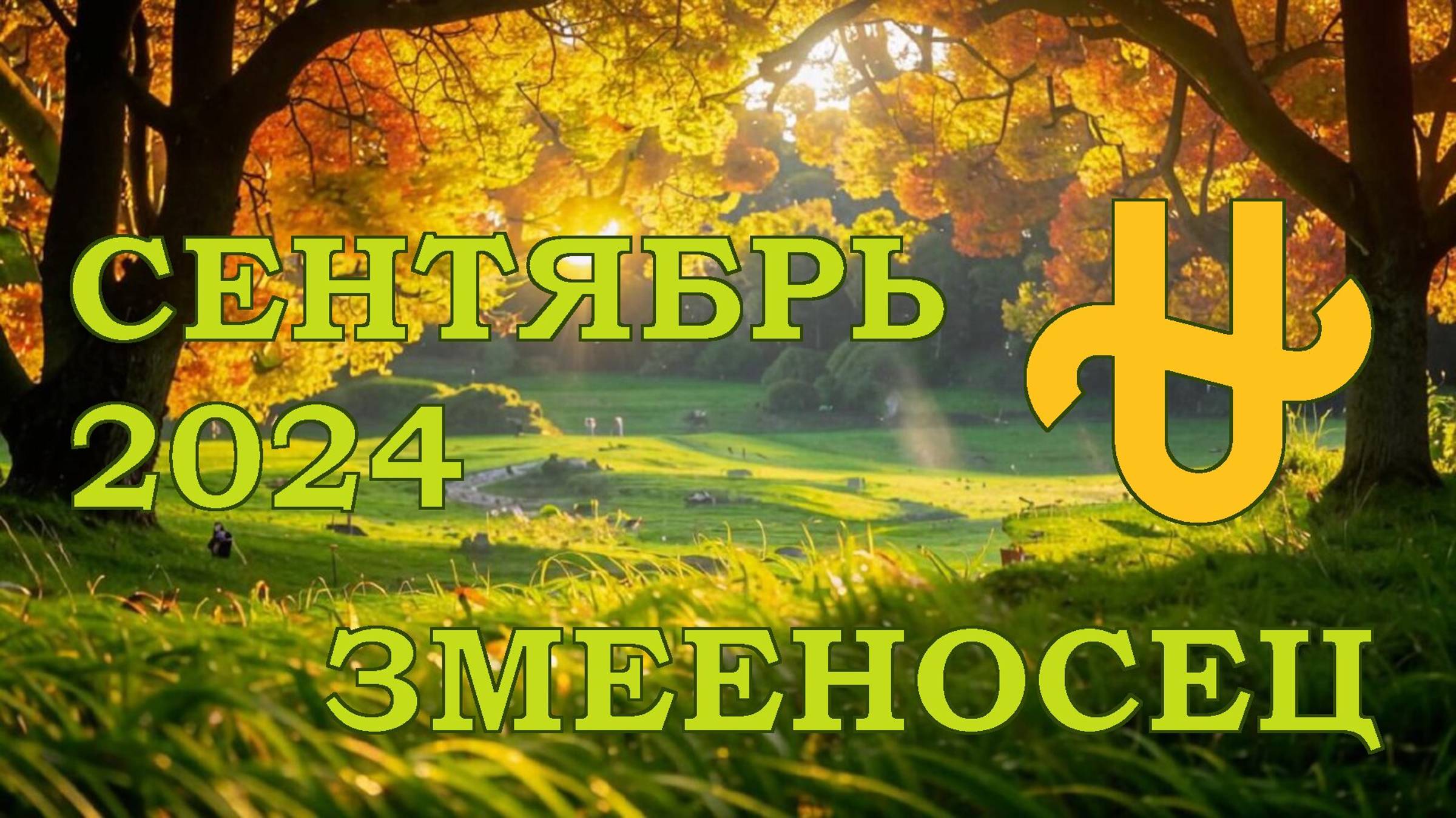 ЗМЕЕНОСЕЦ | ТАРО прогноз на СЕНТЯБРЬ 2024 года | Желание | Расклад таро | Таро онлайн