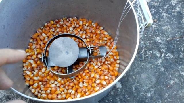 Крысаловка для крыс,хомяков,кротов.