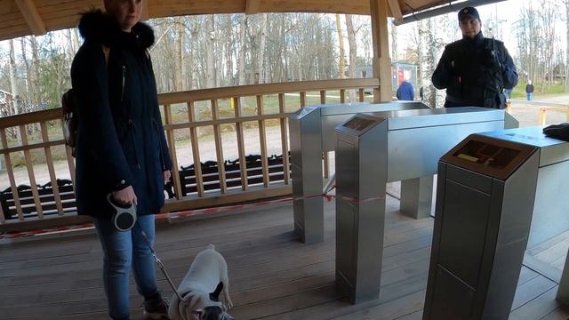 внутренний туризм с собакой смотреть онлайн