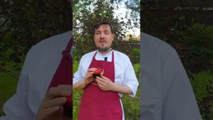 О пользе сыродавленного облепихового масла. Только качественный, свежий продукт принесет Вам пользу