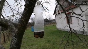 Супер способ !Как избавиться от шершней и ос на пасеке!