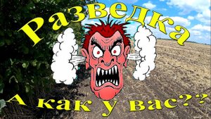 Коп - разведка!! А как у вас бывает?