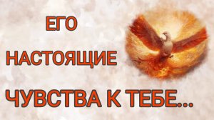 ВСЕ о ЕГО ЧУВСТВАХ! ЧЕСТНО! ОТКРОВЕННО! БЕЗ ПРИКРАС! Таро расклад |Таро гадание | Божена