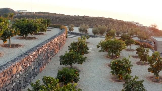 Как можно сделать огород на склоне: полезные советы для дачников смотреть онлайн