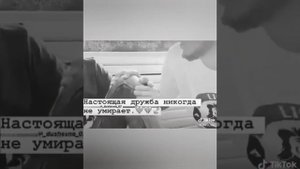 Жизненные и правильные цитаты и фразы с Тик Ток #5