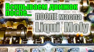 Отзыв о масле Ликви Моли после 6 лет использования.