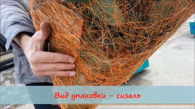 Букет 101 красная роза 60 см смотреть онлайн