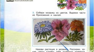 Задание 3 Что растёт на клумбе? - Окружающий мир 1 класс (Плешаков А.А.) 1 часть