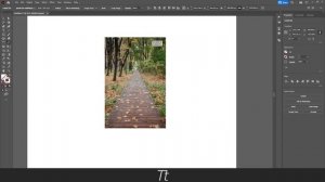 How to Scale / Resize an Image in Adobe Illustrator