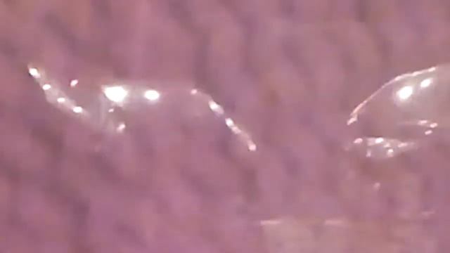 Коты делят территорию под покровом ночи/ Cat night fight "talk" смотреть онлайн