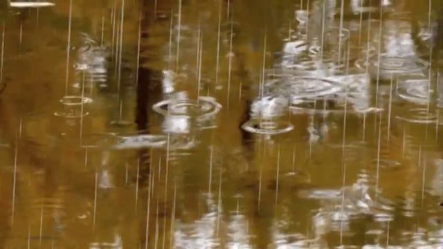 Осеннее настроение  Автор Натали Натуля