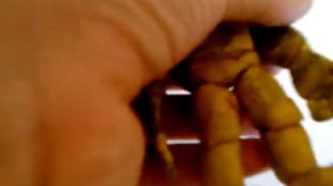 Обзор на фигурки из пластилина фредбера и спринг бони