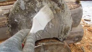 Обработка торцов бревен. Важно!