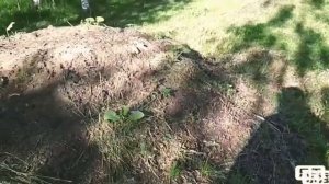 Грядки из компоста