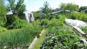 ИЮНЬ 2018 МОЙ САД и ОГОРОД / Garden's tour June 2018