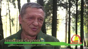 Профессия лесничий