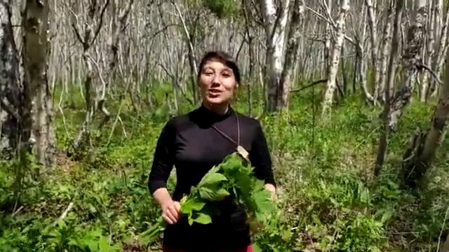 Галина Кравченко смотреть онлайн