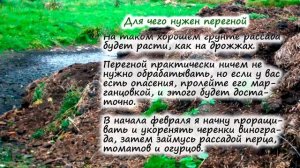 Как сделать и где применять перегной